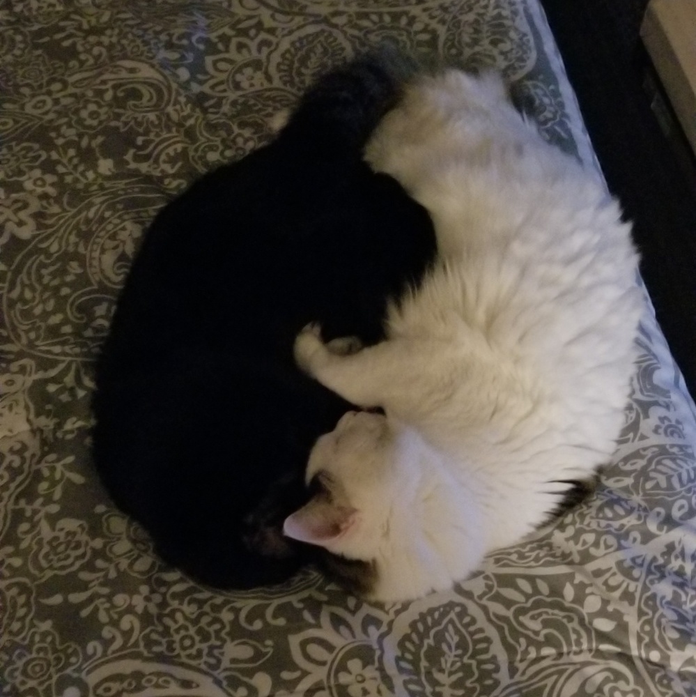 Meet your Posher, Heaven